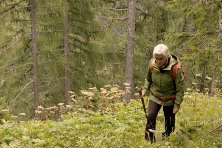 bildschirmfoto-2024-07-30-um-12.48.38 (1).png