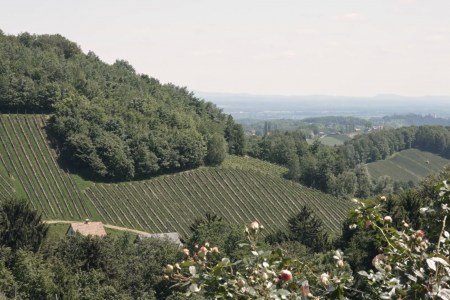 Bildschirmfoto 2026-02-27 um 16.15.55.png