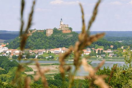 burg-guessing (1).jpg