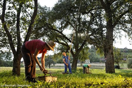 poellauer-tal-4 (1).jpg
